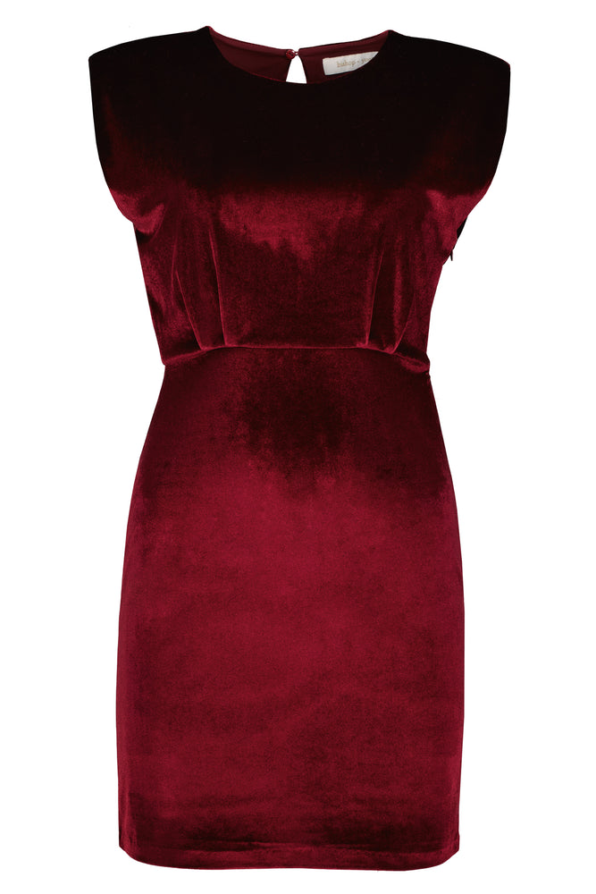Hayden Velvet Dress Ruby