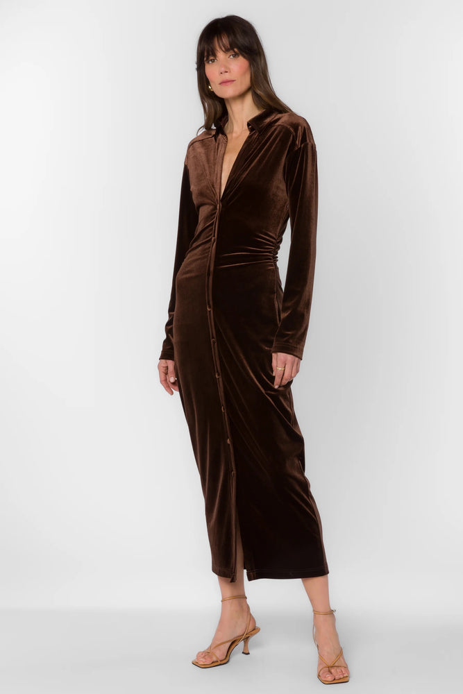 Phoenix Velvet Dress Brown