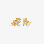 Christmas Boxed Earrings Gold - Merry Christmas