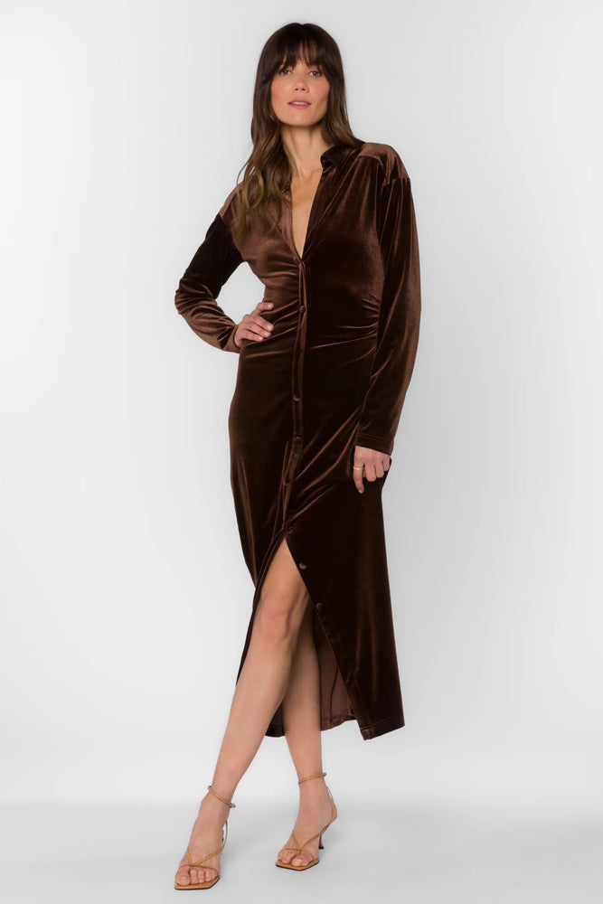 Phoenix Velvet Dress Brown