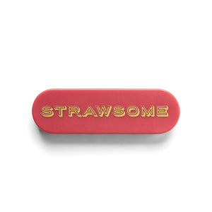 
            
                Load image into Gallery viewer, Terracotta Strawsome Portable Straw
            
        